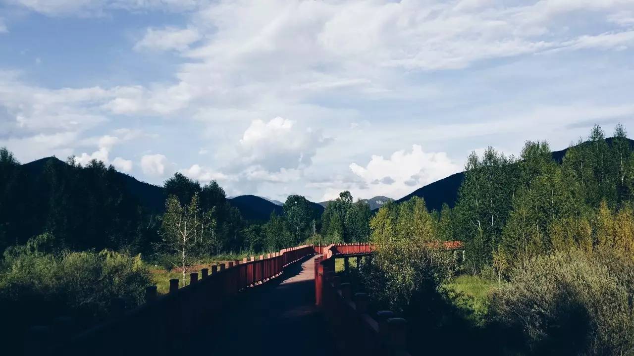 人生是一場錯過願你別蹉跎