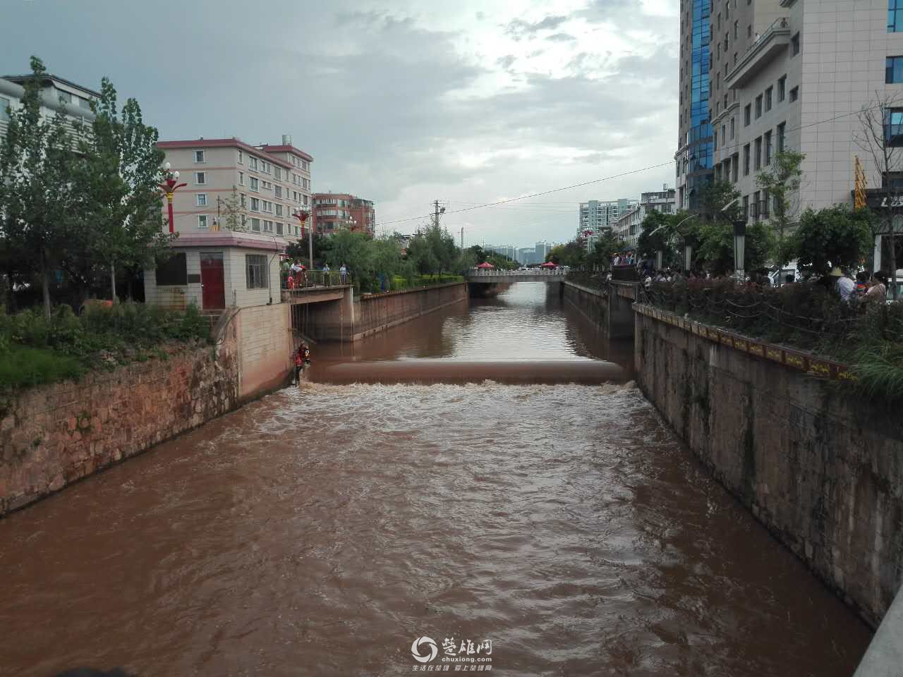 州內事 | 楚雄10歲男孩賭氣跳入青龍河,民警及消防營救遭其拒絕(圖)