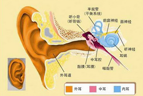 答:耳聋的分类有以下几种:传导性耳聋:由于外耳和中耳的某些病变导致