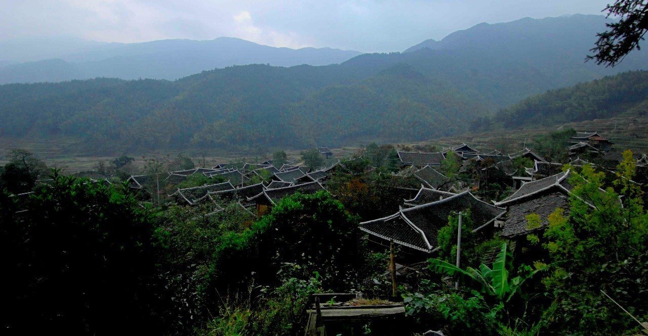 黄桑生态旅游区图片