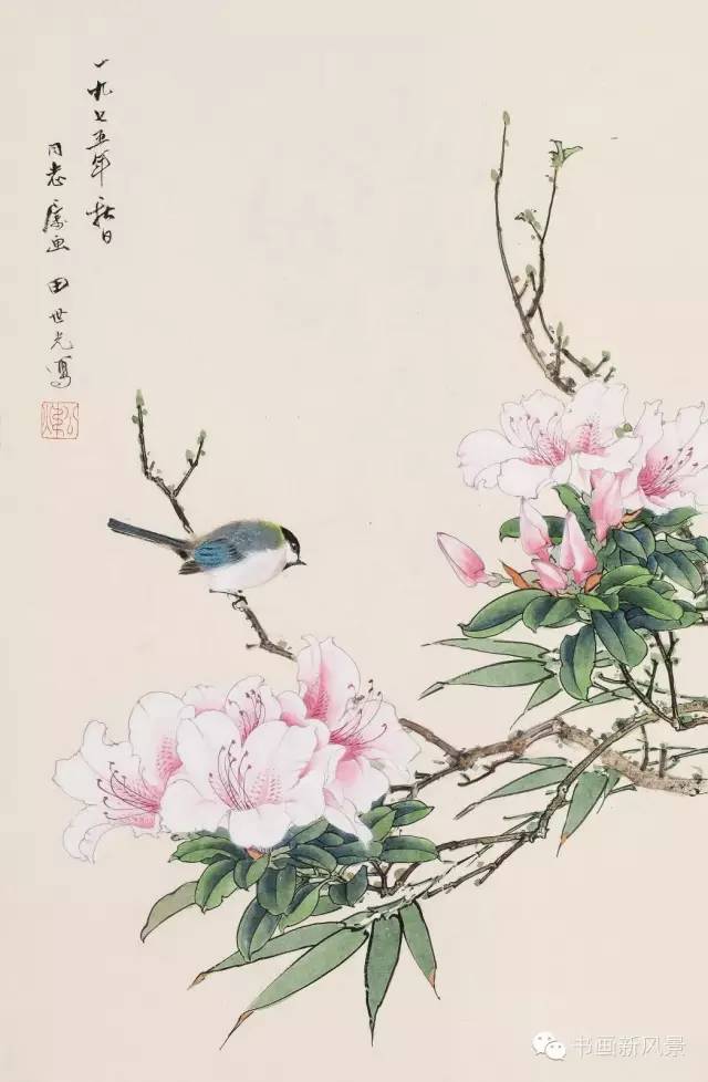 宣城见杜鹃花