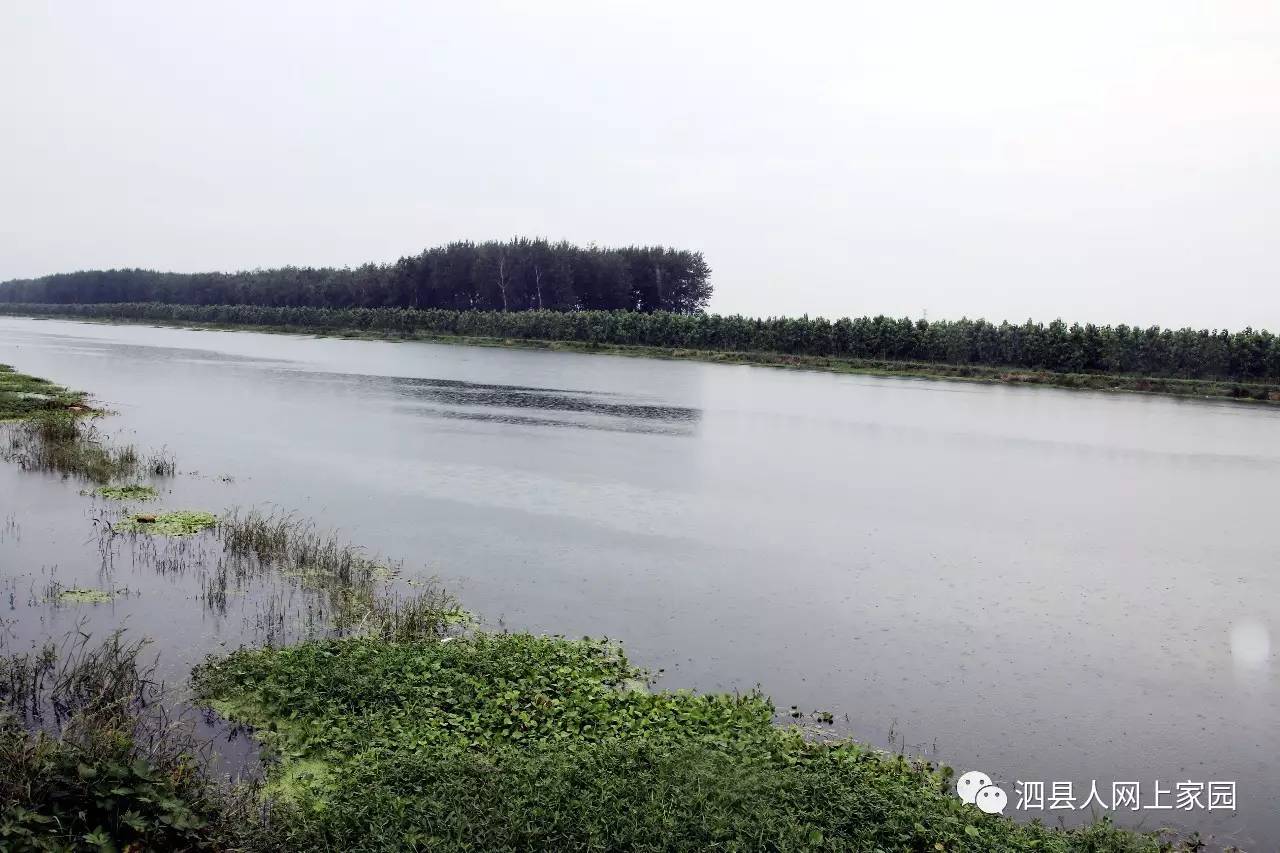 清凉夏日,泗县可看美景太多,滨河公园是避暑好去处!