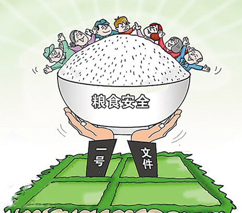 粮食依赖进口真正原因8月开始排查粮食安全隐患