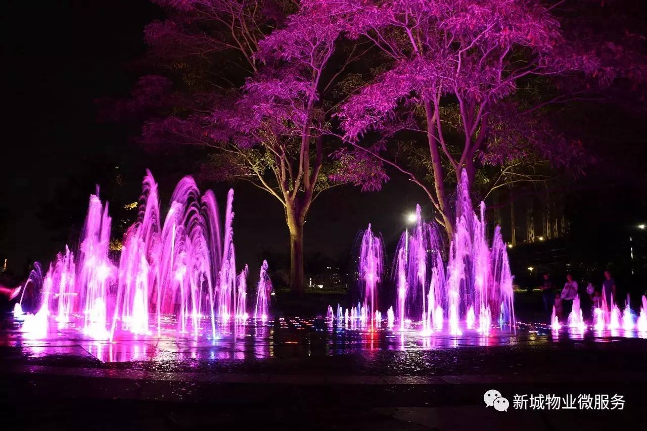 这样的佛山新城景观带你见过吗原来这里的夜景也可以这么惊艳