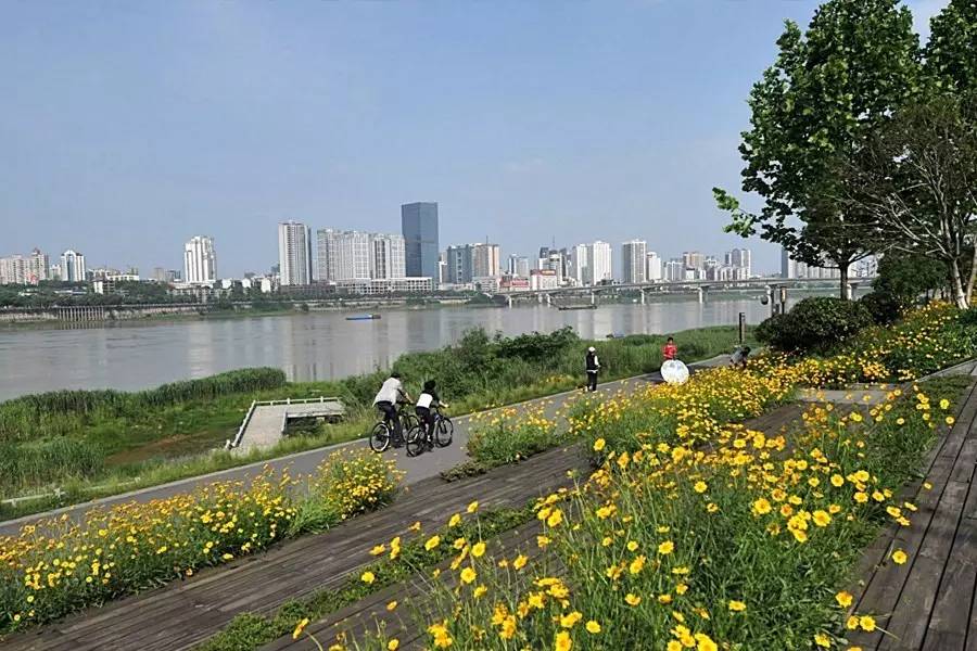 湘江公园面积图片