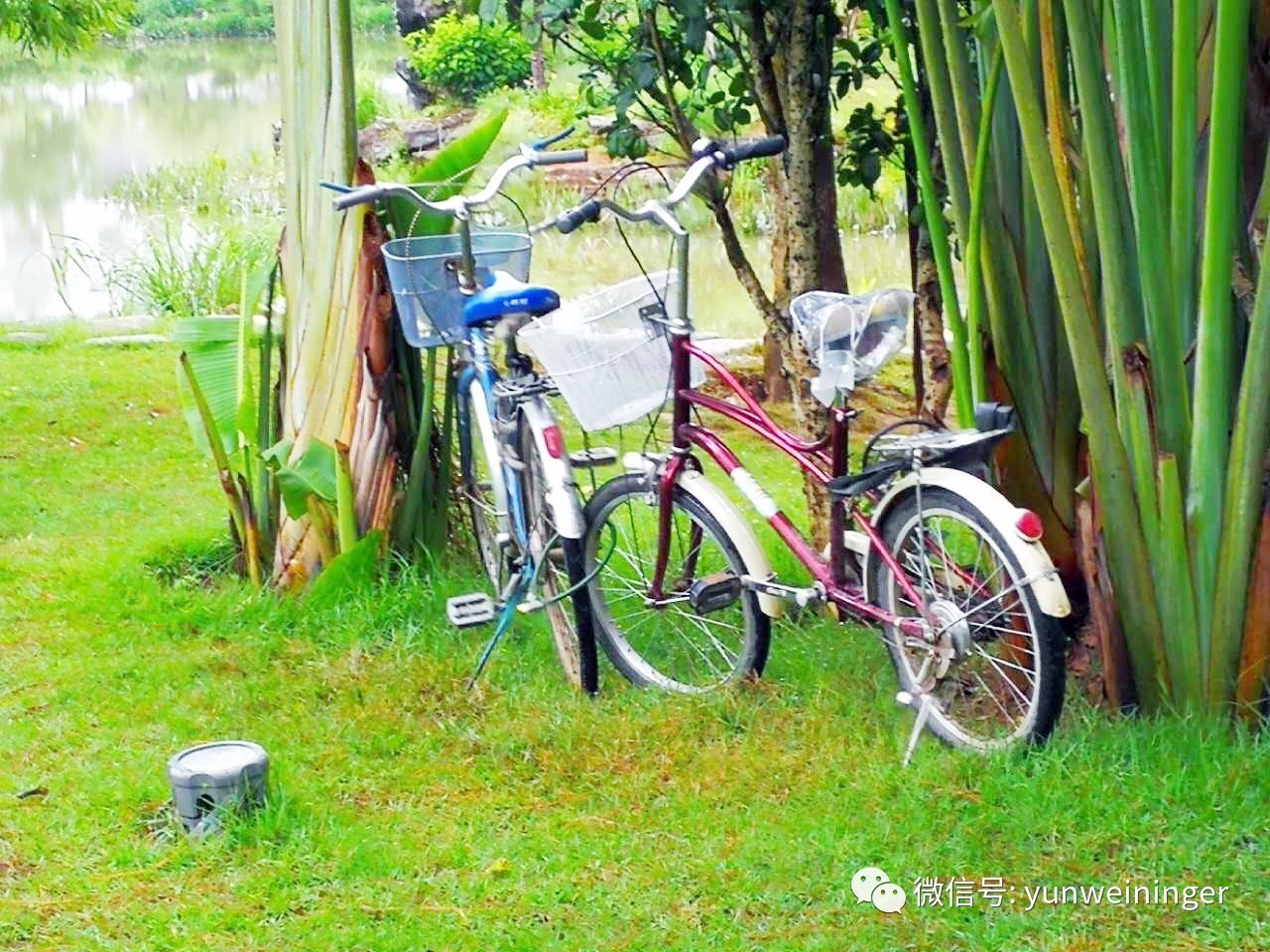 曝光臺看看水灣公園裡大煞風景的不文明行為有視頻有相片