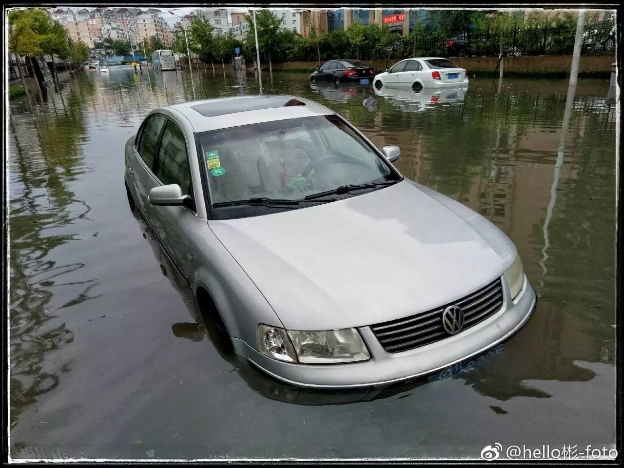 海量图片暴雨侵城车辆被淹树木遭雷劈这些积水路段请绕行