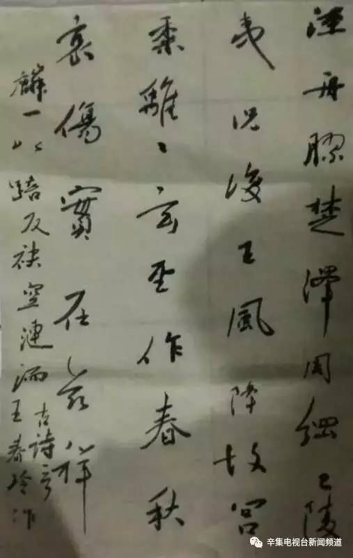 图为 王春玲书画作品与李永健不同的是,妻子王春玲的书法,国画同时