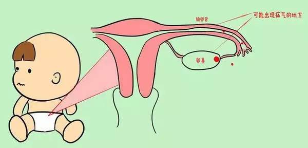 女性正常的阴囊外观图片