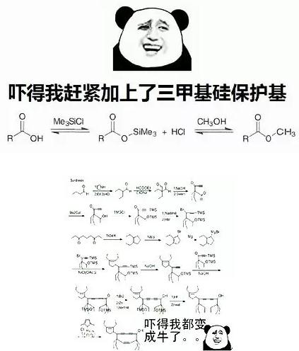 高中理科表情包图片