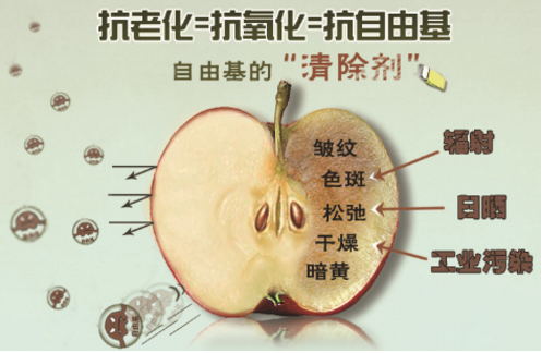 怎么通过食疗淡化斑点