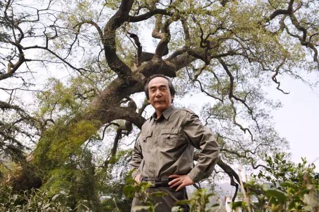 石玉平│写给家乡内蒙古70岁生日