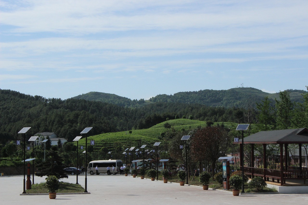 张家寨园区展厅门前茶园美张家寨园区展厅全景张家寨茶旅一体化园区