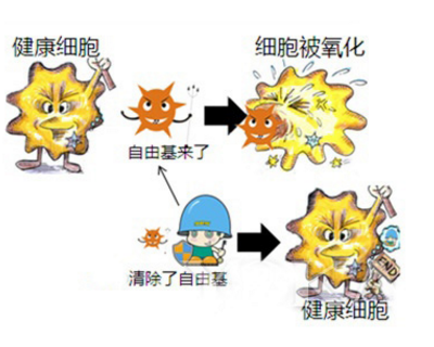 怎么通过食疗淡化斑点