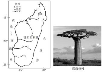 读图可知,马达加斯加河流大多自东向西流动,说明东侧海拔高,西侧海拔