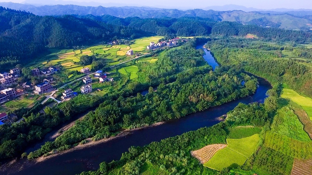 茶旅世界·十大魅力茶鄉參評丨吉安市遂川縣狗牯腦山