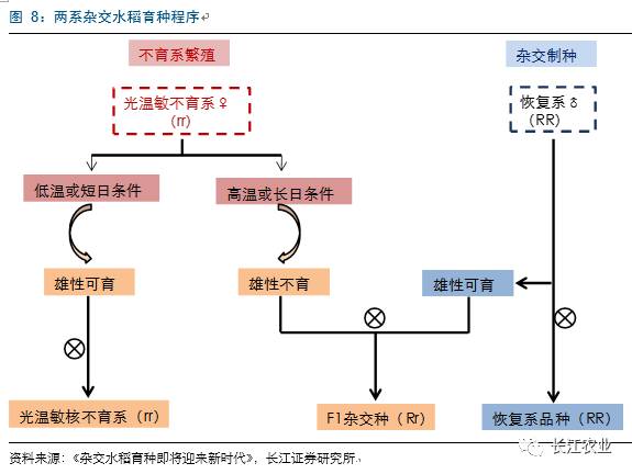 水稻育種的歷史與未來抗性和米質升級為第四代水稻品種的突破口