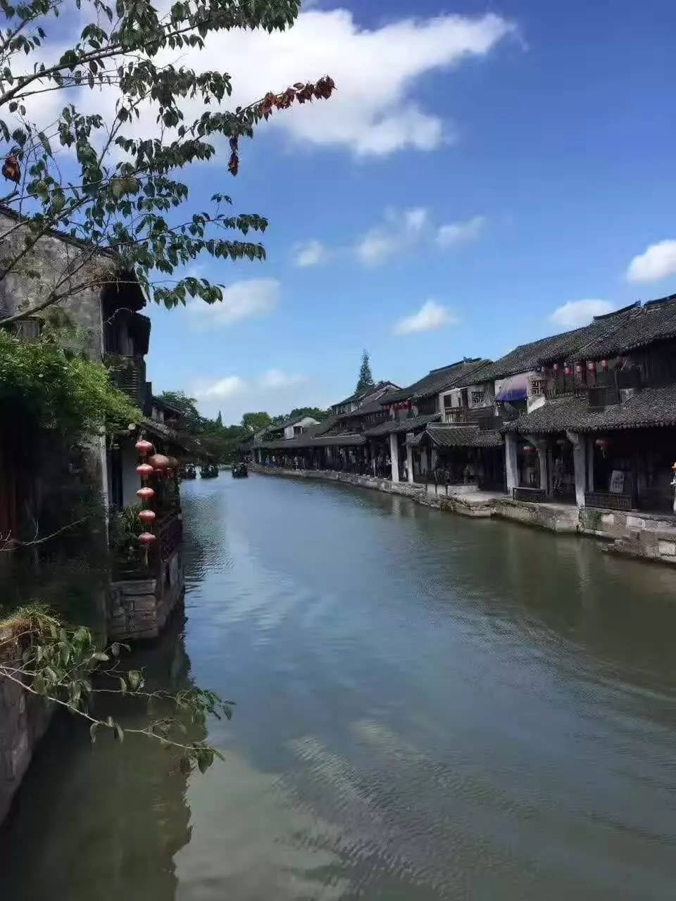 上海烏鎮杭州三日遊攻略(上海烏鎮杭州自由行旅遊攻略)