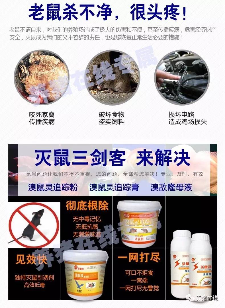 雁翎溴鼠灵追踪膏图片