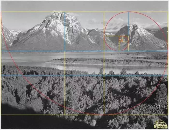 黄金分割律构图图片