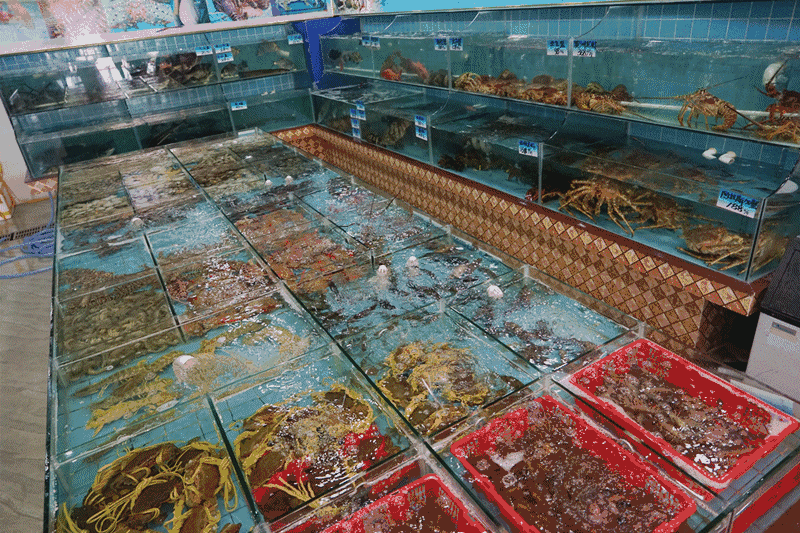 这家店的老板在东莞开了20多年的海鲜批发档,哪里的海鲜品质优,哪里的