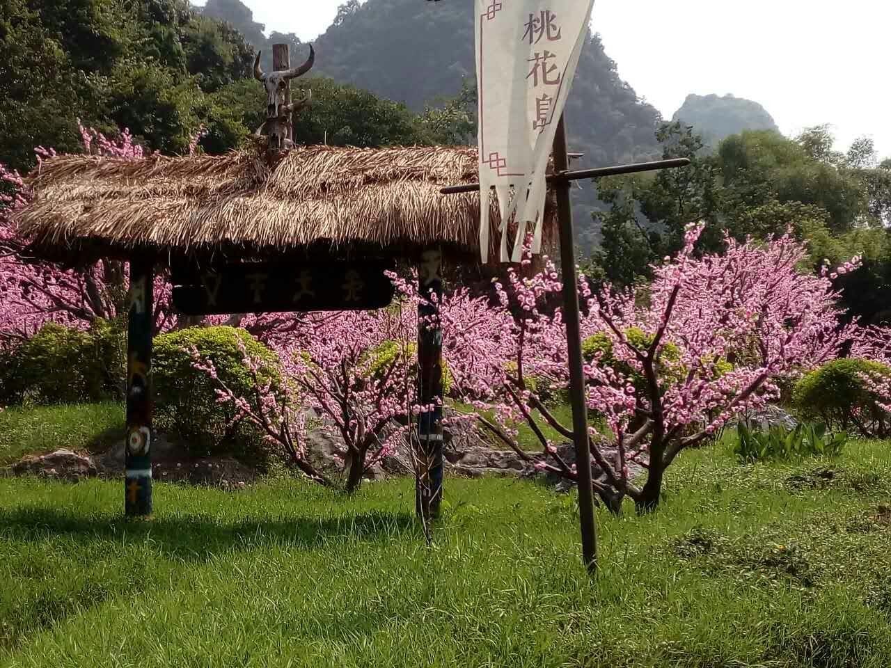 桃花峪里桃花红图片