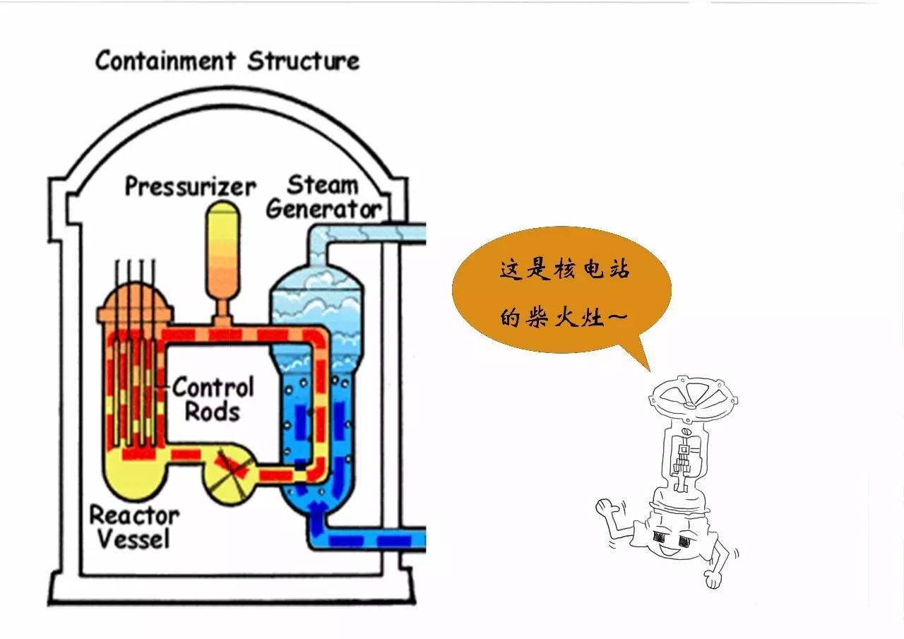 原来核电站是这么烧水的