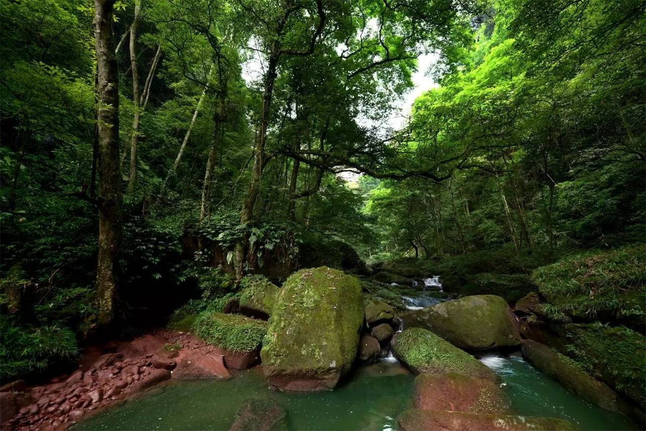 四川又添一个国家森林公园它是火城里的避暑胜地