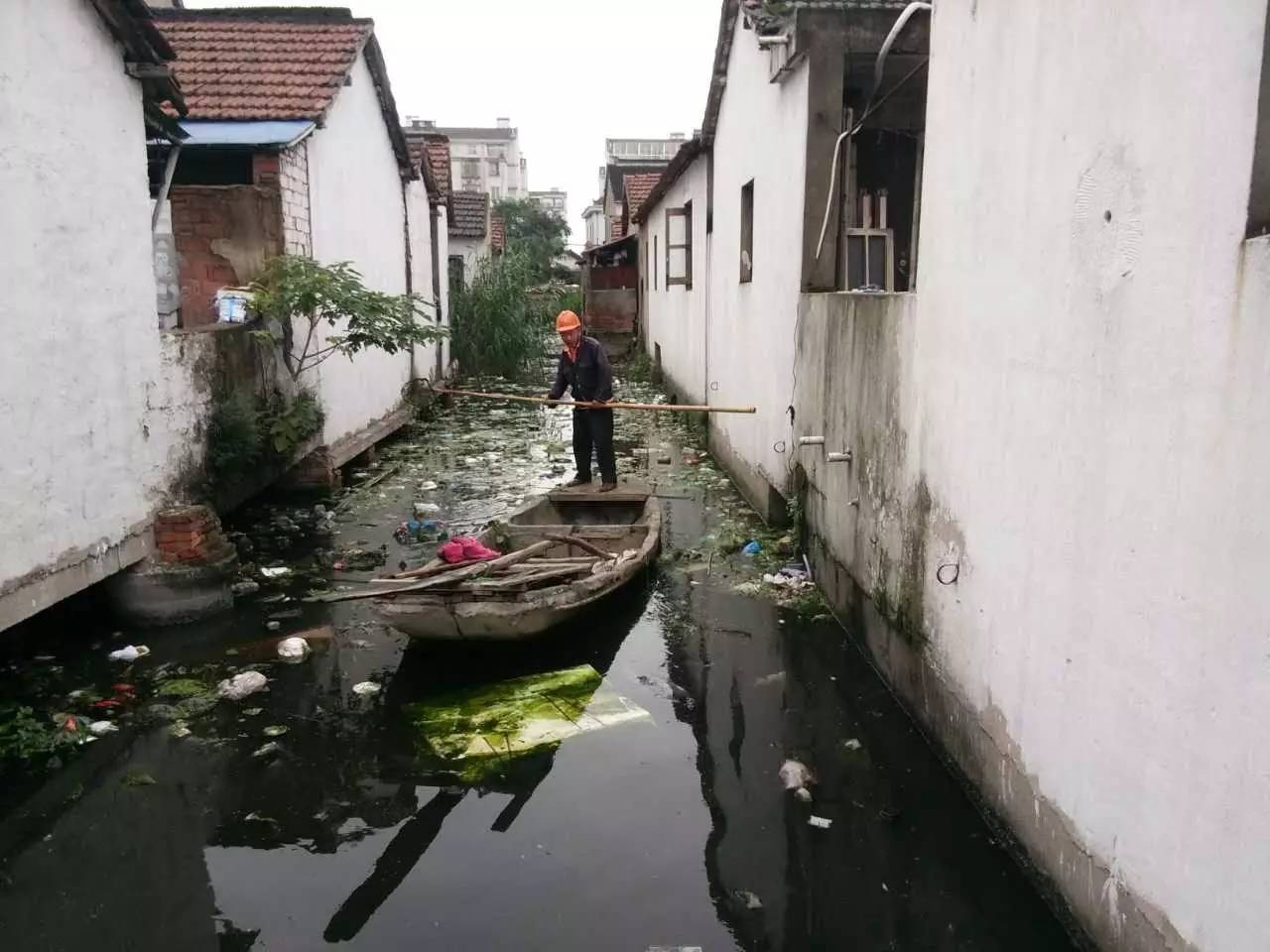 张浦小巷子图片