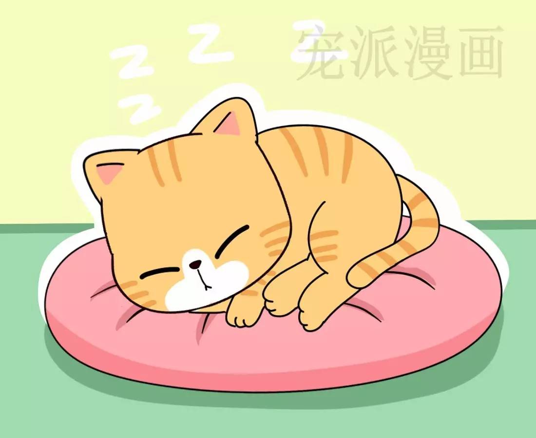 8,猫咪可谓是动物界的睡神,猫是最爱睡觉的哺乳动物,猫的一天大约有16
