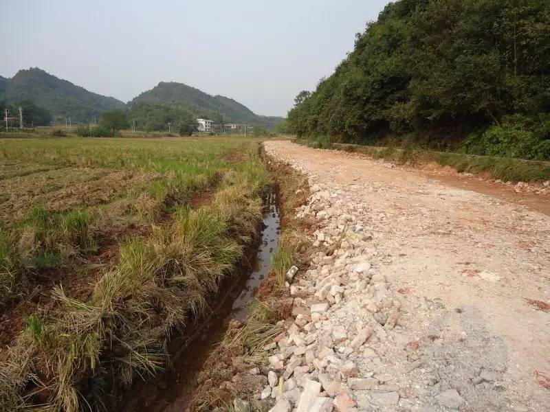 强党性重发展添活力凫田村纪实