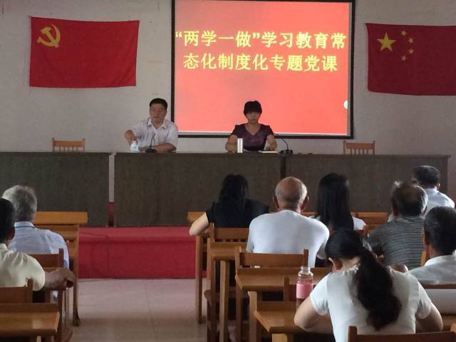 两学一做广陈镇村社区共办两学一做学习教育常态化制度化主题党日活动
