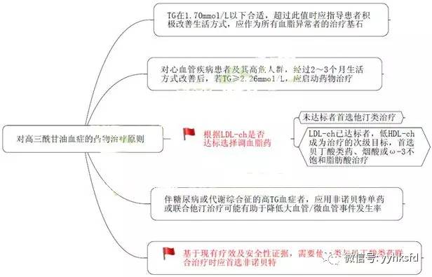 非诺贝特药理机制图片