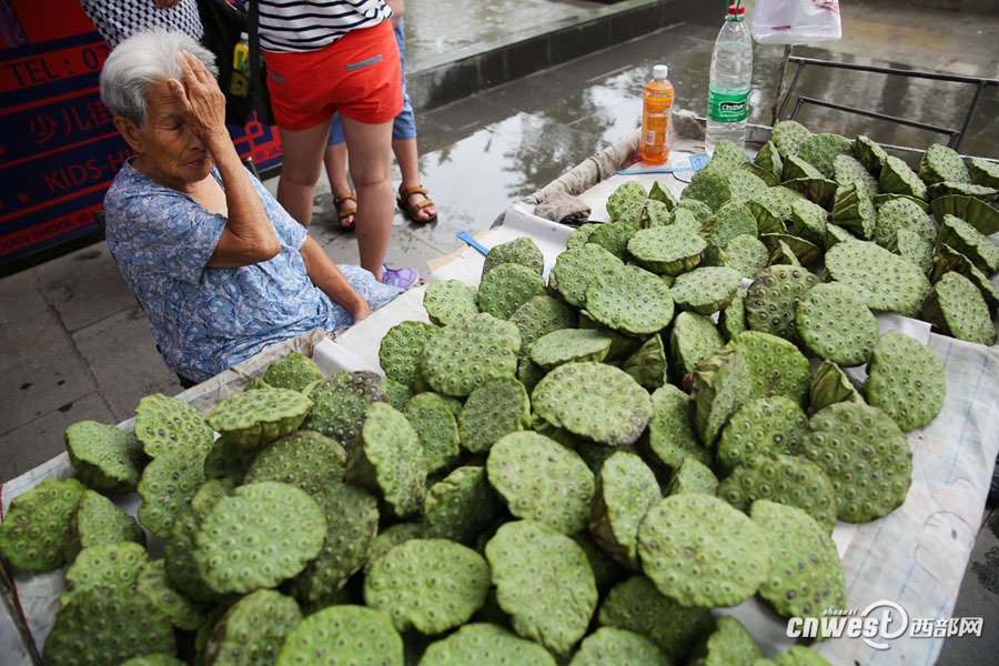 西安90岁老人天天出摊卖莲蓬 挣钱贴补三个儿子