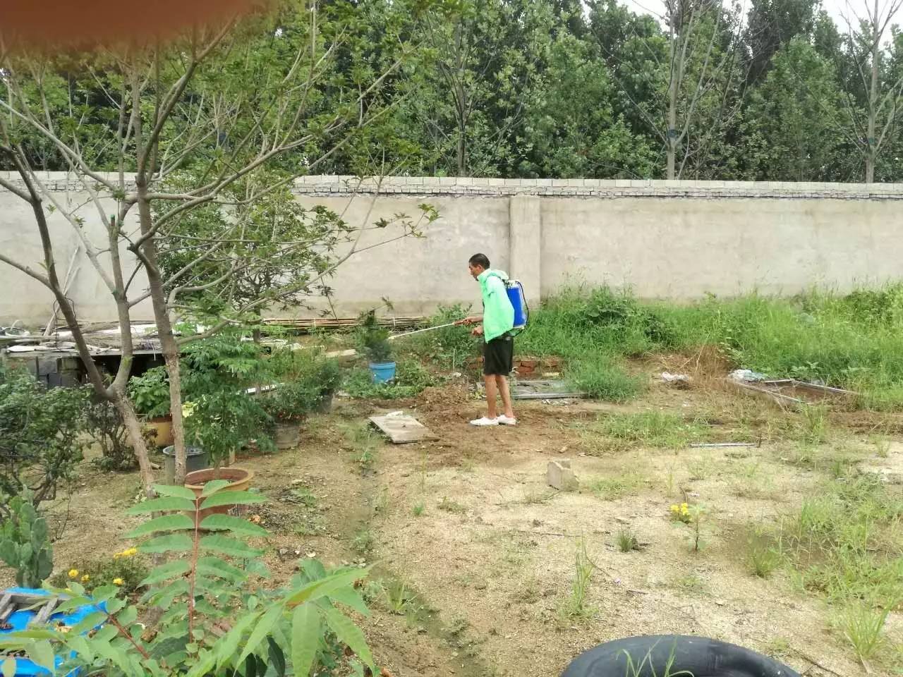 秦楼街道除四害消杀活动进行中