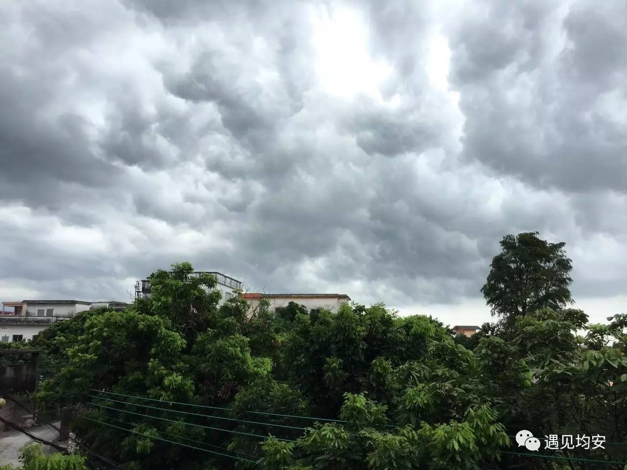 應急知識大講堂之防雷雨,防颱風,防溺水