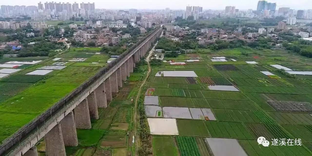 遂溪有100万人在认真生活