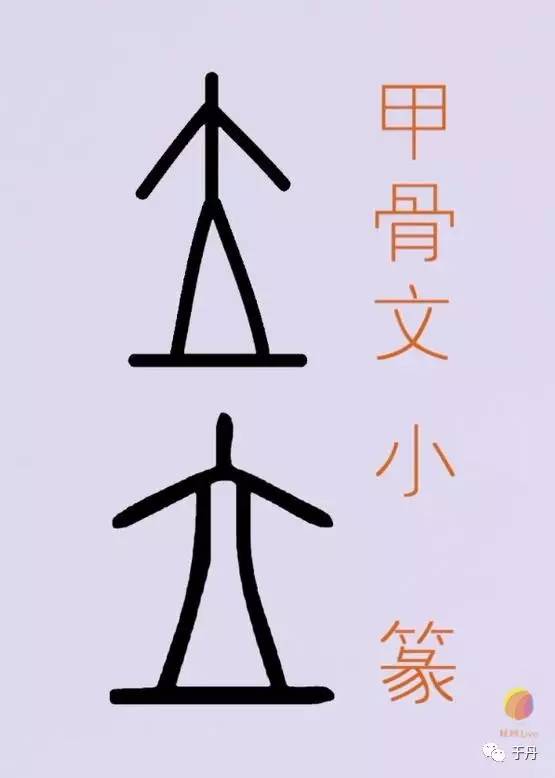 立字甲骨文图片