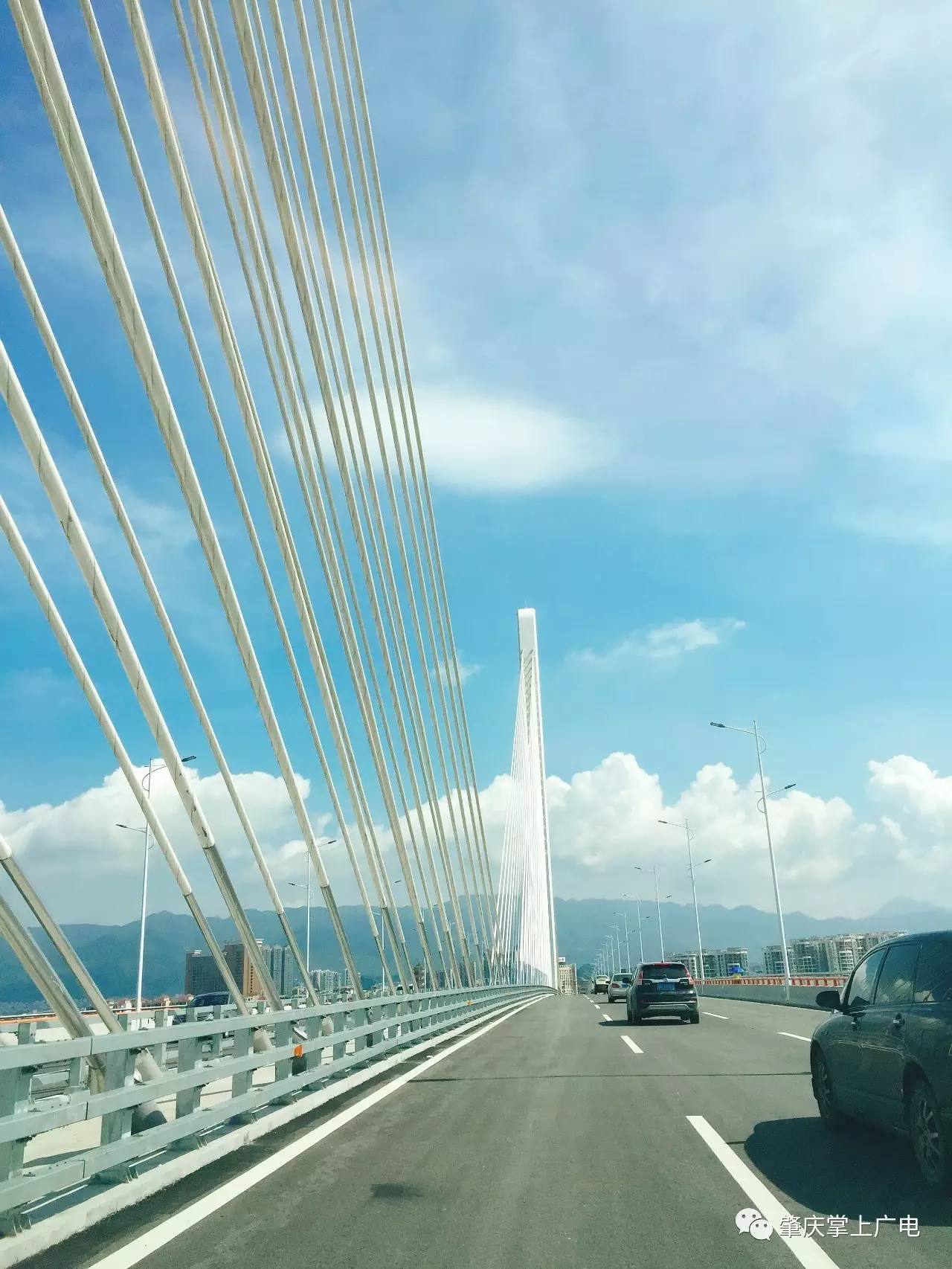 肇庆阅江大桥今日通车,这些事情你要知道.