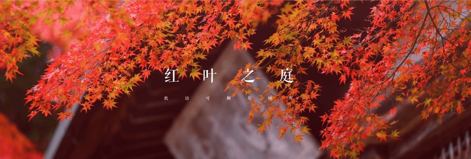 北海道 红叶之庭 秋语可侧耳倾听