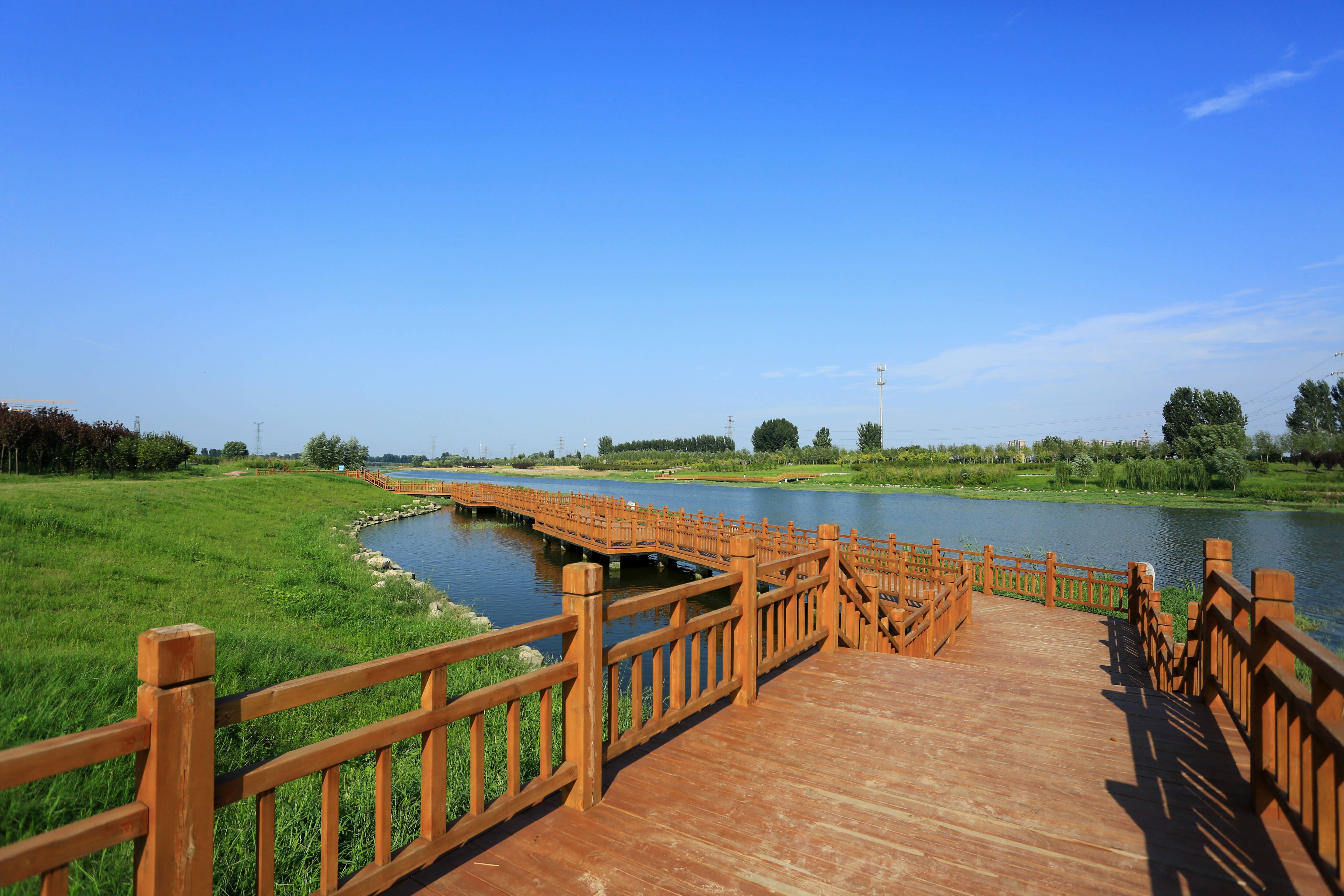 郑州黄河湿地公园图片图片