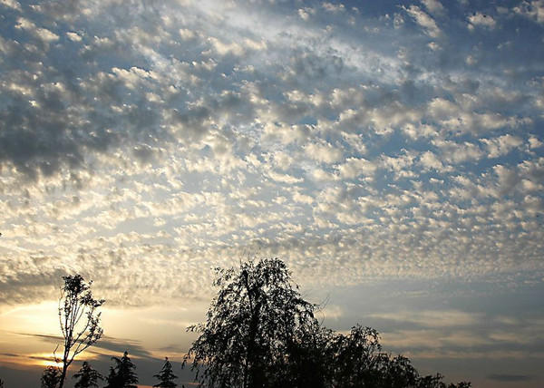 天空飄過地震雲