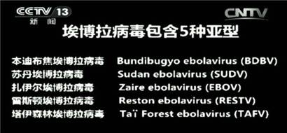 32亿票房的《战狼2》,让吴京生命垂危的拉曼拉病毒到底有多恐怖?