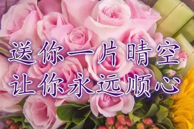 今天8月9號早上好太漂亮了送給群裡的新老朋友越快打開越幸福