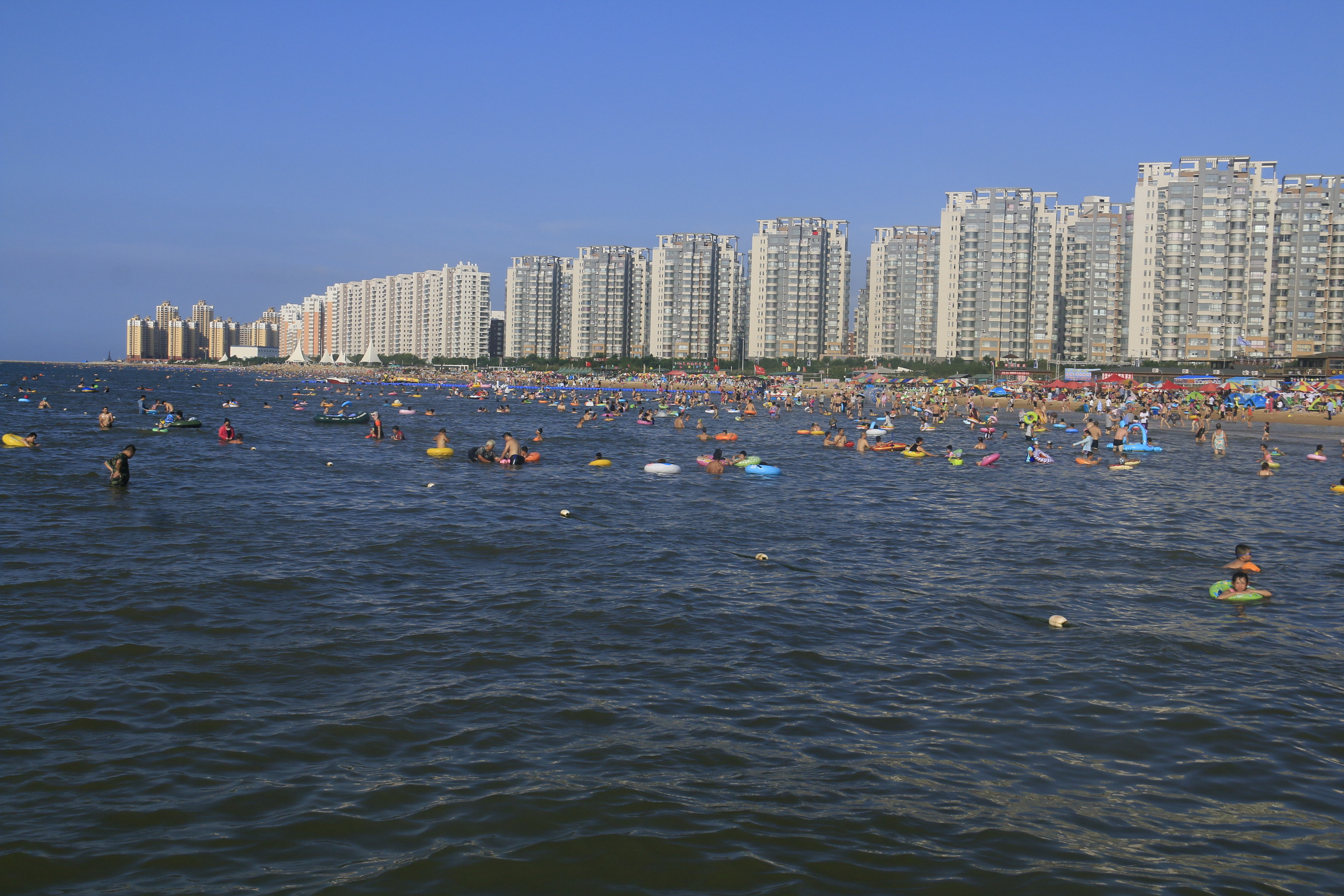 龙口海滩图片