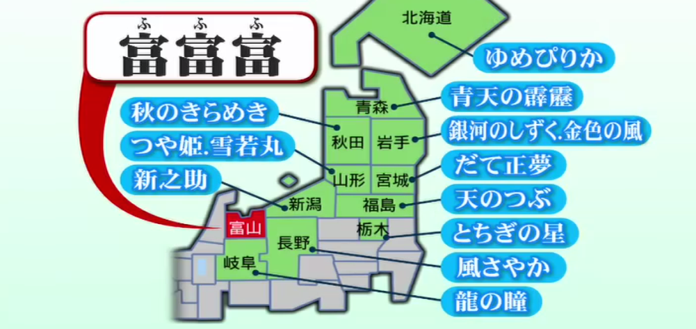 日本富山县新大米 富富富 上市价格或高于越光米