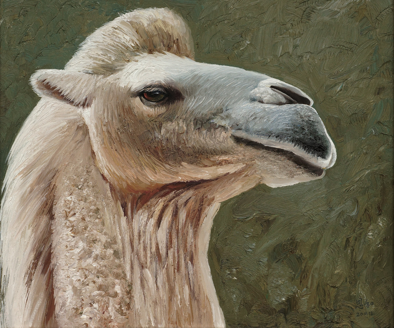 骆驼王恩和创作的一组美白驼,白骆驼肖像油画作品