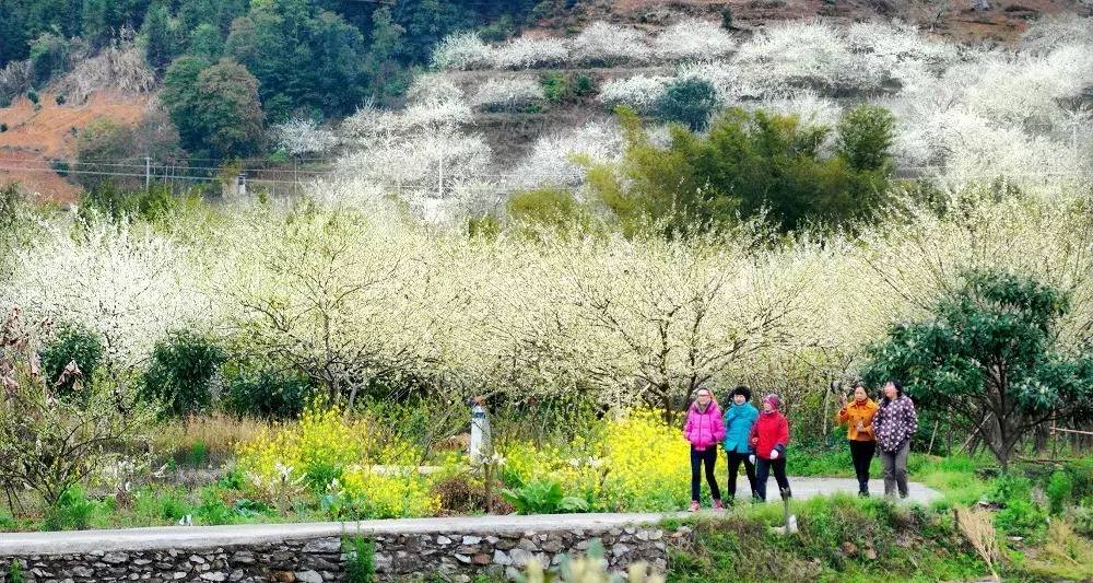 花果之乡多彩翁源 七镇一场旅游秘籍