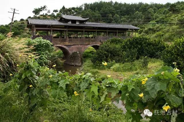 上舍村上舍村,南城县的一个因九兄弟发达而兴旺的村庄.