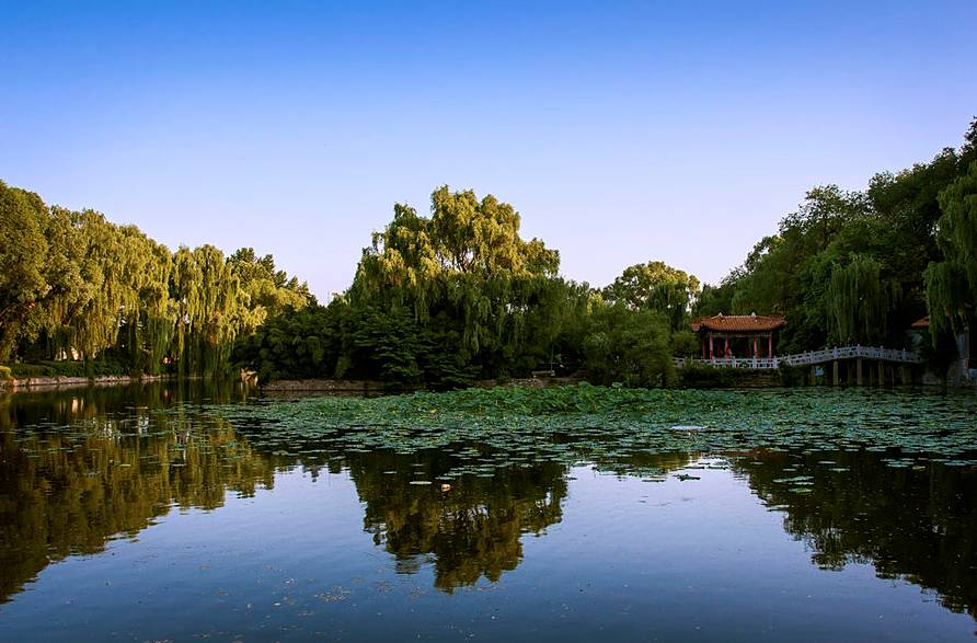 我漫步登上凌虛臺,站在石欄旁.俯瞰近處,東湖景色盡收眼底.